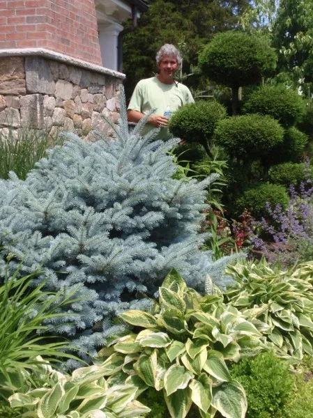 work photo from jbtreeandlandscape.com