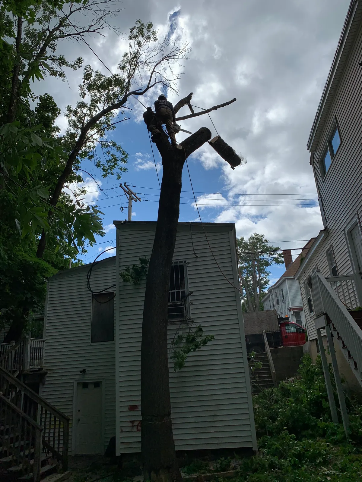 work photo from Google listing