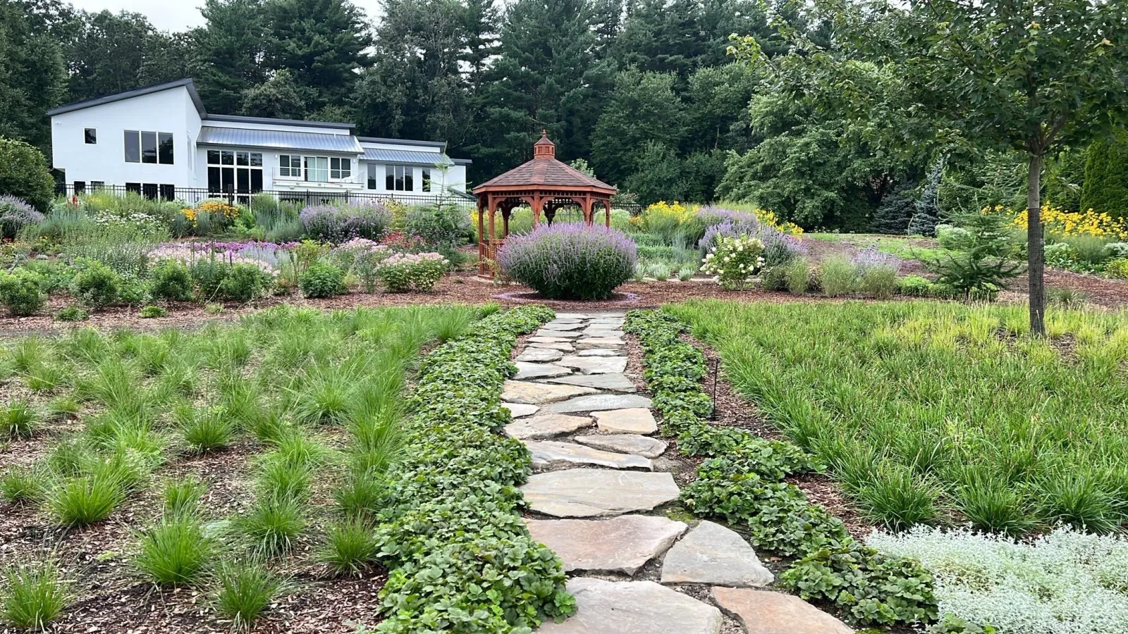 VIDEO: How Natural Gardens Can Help Us and Nature