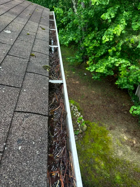 Leaf-filled gutter on a wooded Rhode Island property before cleaning
