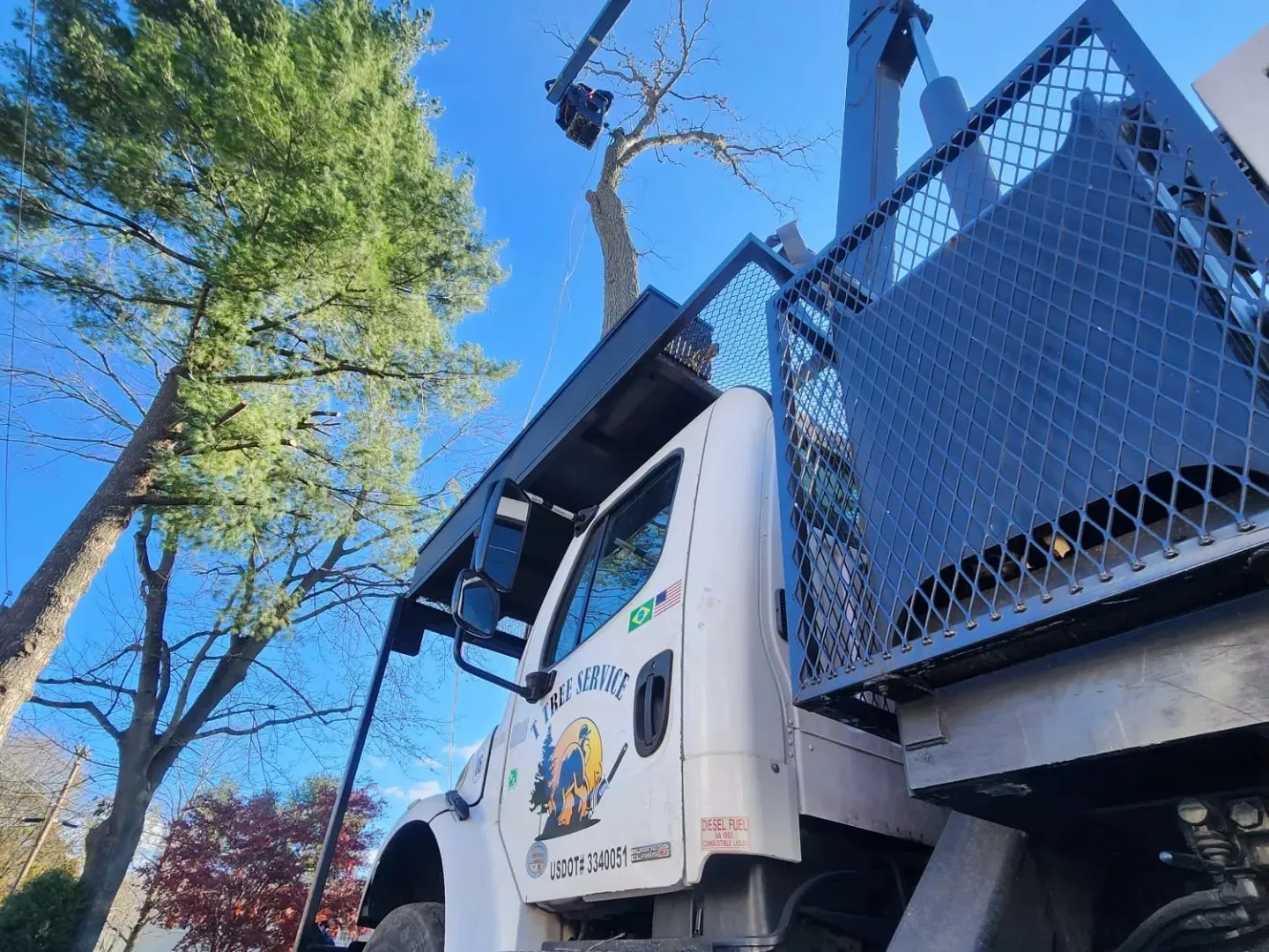 work photo from Google listing