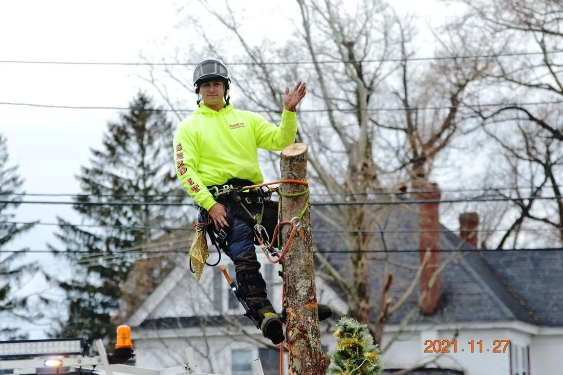 work photo from sendittreeservice.com