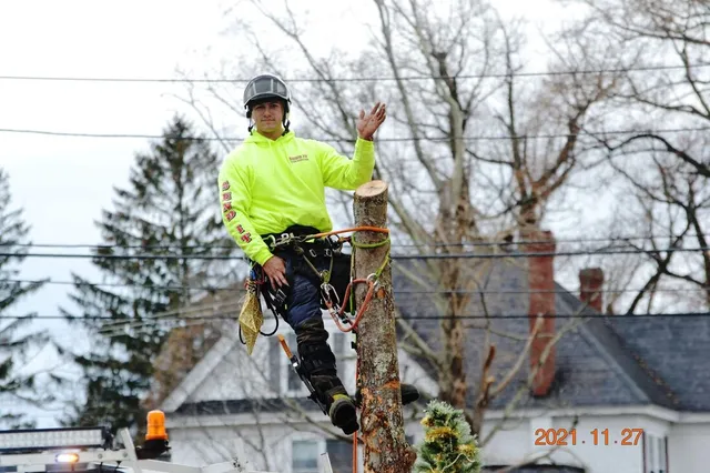 work photo from sendittreeservice.com