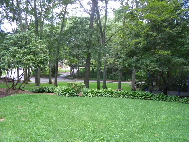 work photo from theprovidencegrasscompany.com
