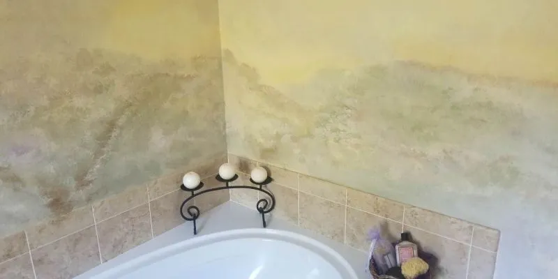 Faux Finish Painting Bath