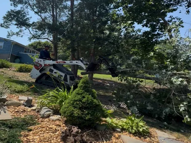 Tree Stump Removal