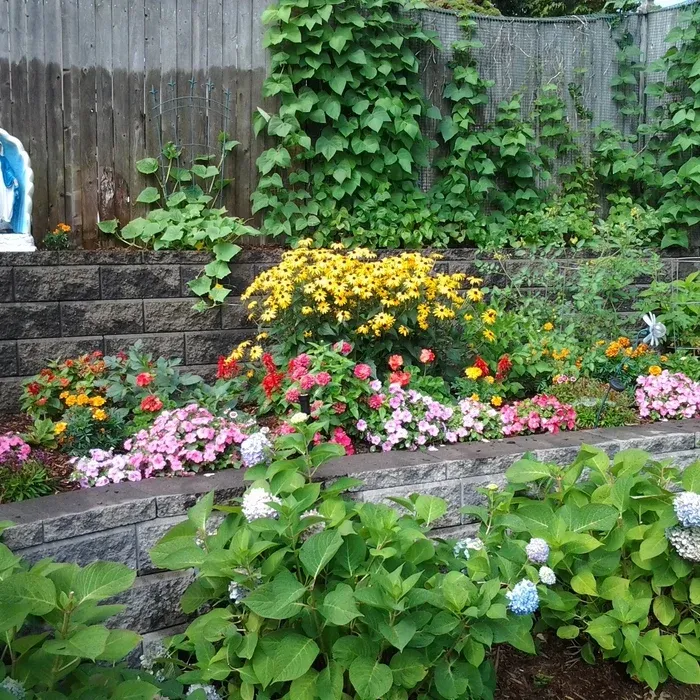 Burgess Landscape Design Construction & Tree Service researched project photo