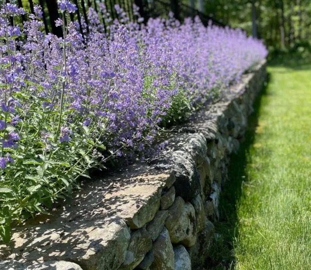 work photo from girouxlandscaping.com