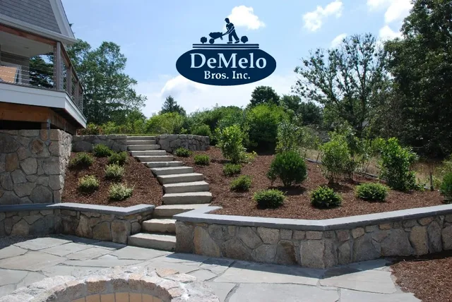 DeMelo Brothers work photo