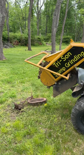 Tri-Son Stump Grinding researched project photo