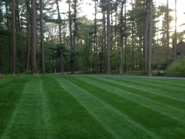 Landscape Service