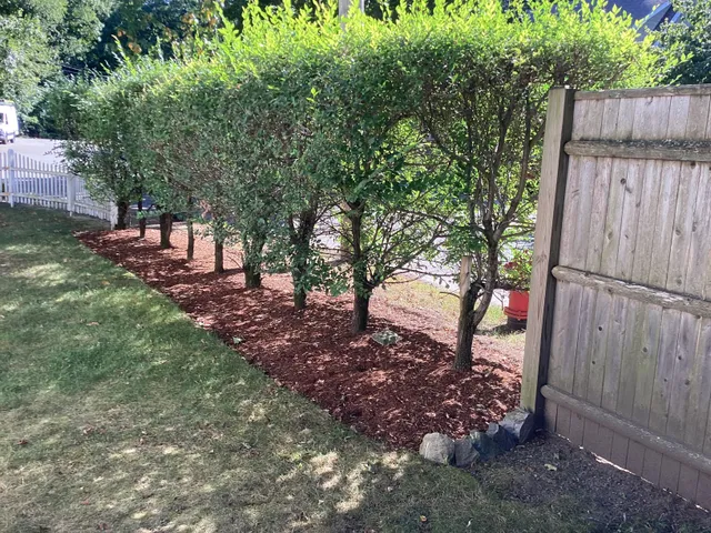 Adam Harrower Landscape Services work photo