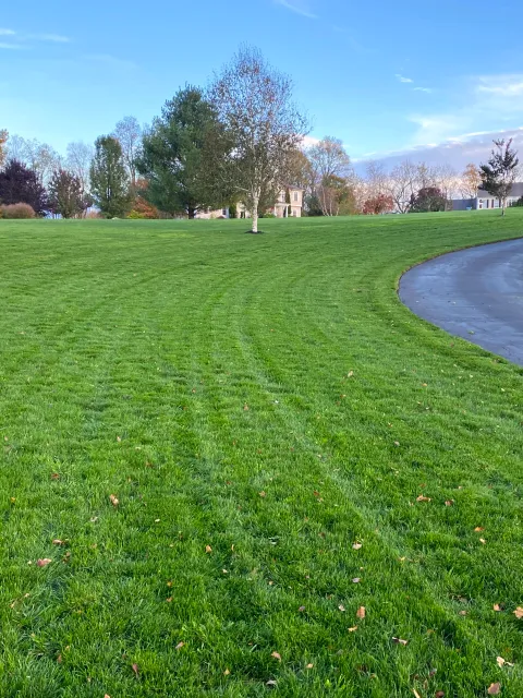 A grassy field with tire tracks, trees, and houses in the background on a clear day.