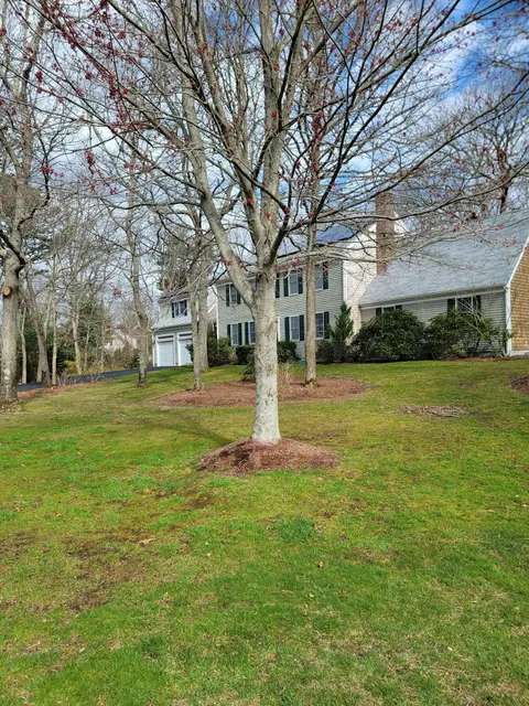 Leafless tree in a grassy yard in front of a two-story house on a sunny day
