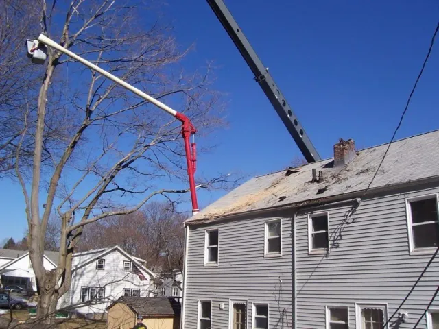 tree removal