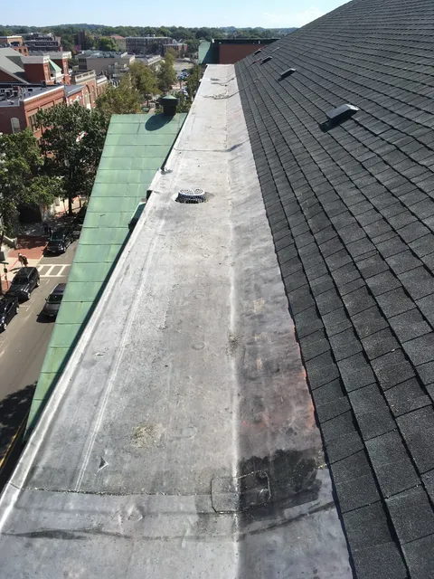 Professional Roofing Contractors
