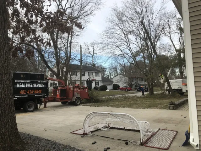 M&M Tree Service machine cleaning a house's yard