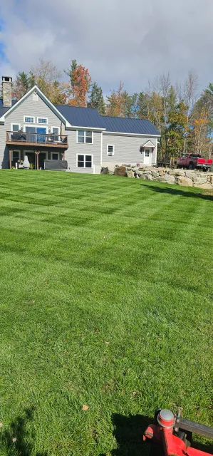 Well maintained lawn, cut to perfection with predominant striping.