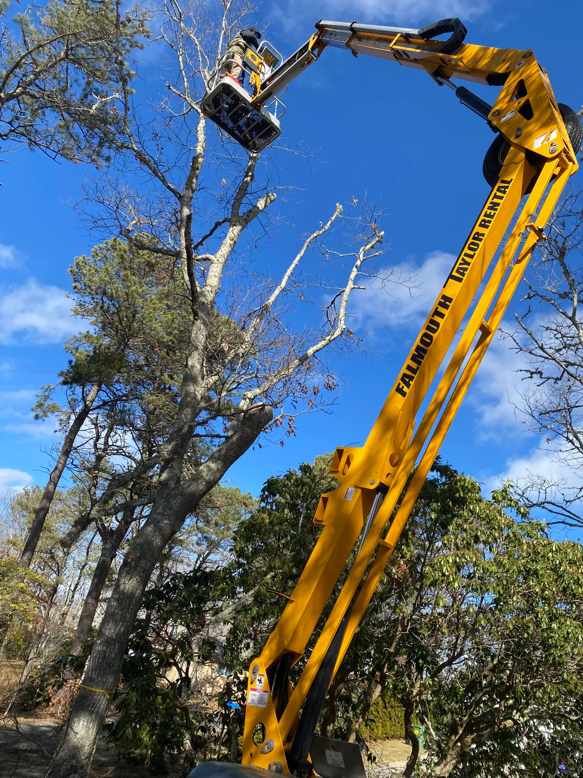 work photo from Google listing