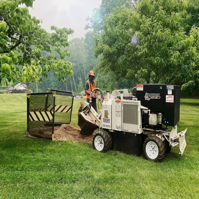 Radu Stump Grinding work photo