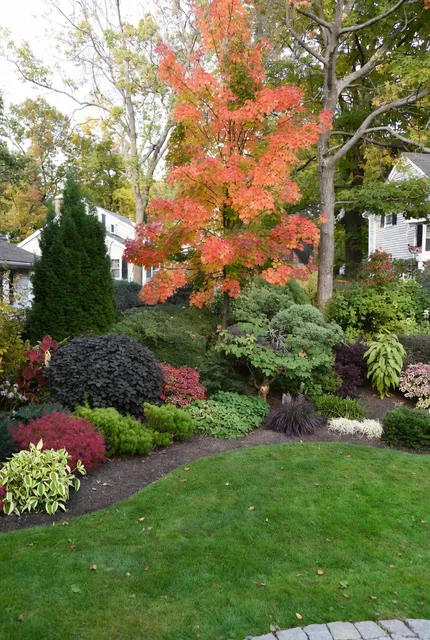 Eden's Native Landscaping work photo