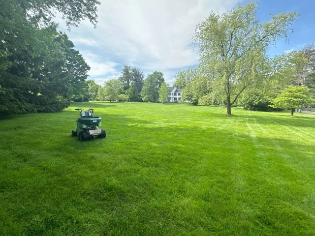 Lawn
