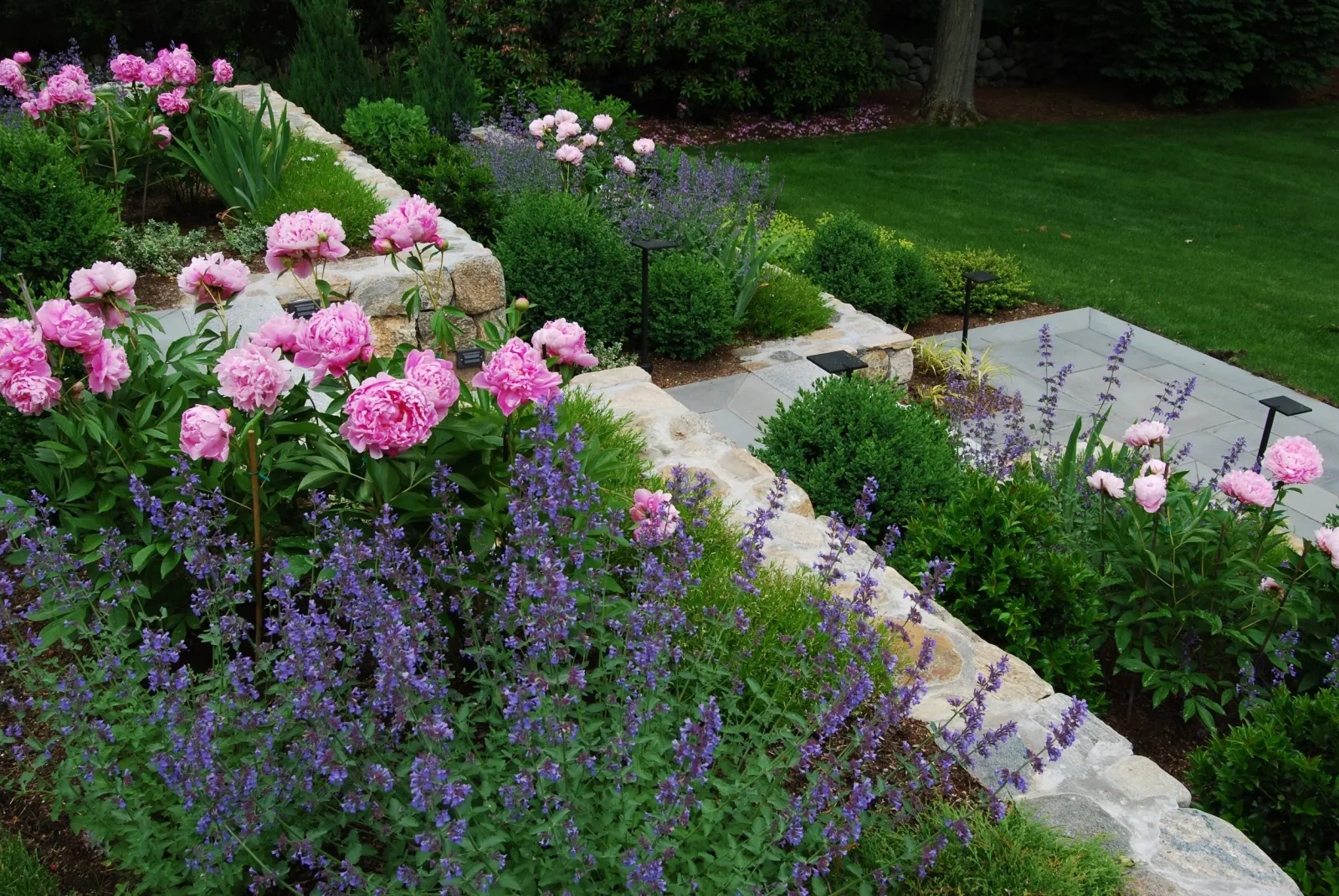 Stone retaining walls and blue stone paths terrace this North Andover garden and completely transform a steep slope into a terraced garden entry.