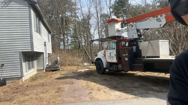 Storm Clean Up