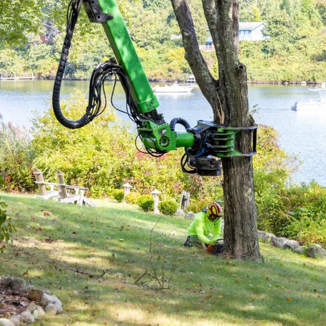 Arboreal Solutions work photo