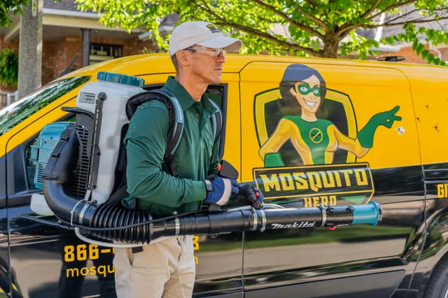 Mosquito Hero work photo