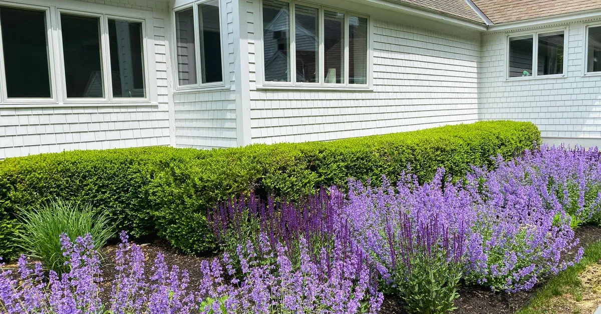 McDermott Landscape Design researched project photo