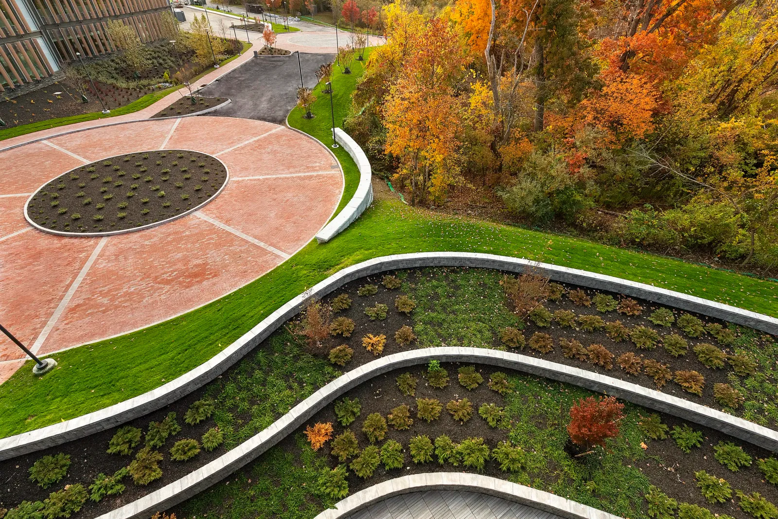 An aerial view of a landscaped urban outdoor space with curved pathways, small plants, and trees with fall foliage.