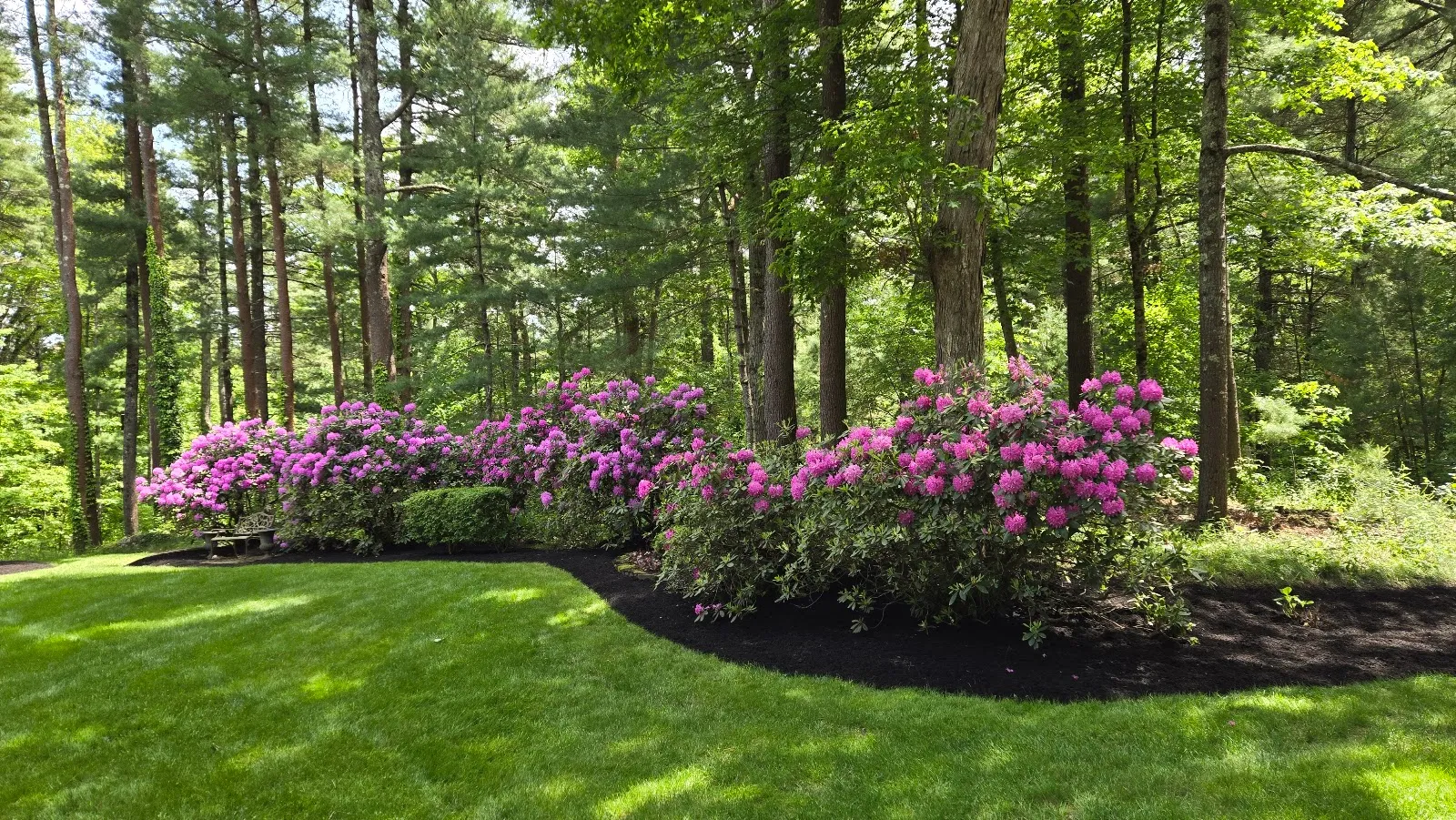 Clear-Cut Landscaping