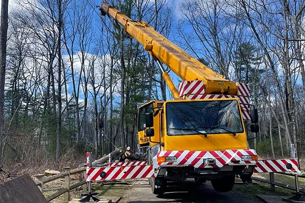 work photo from medinatreeservice.com