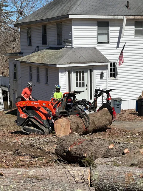 Cassella Tree Service, LLC work photo
