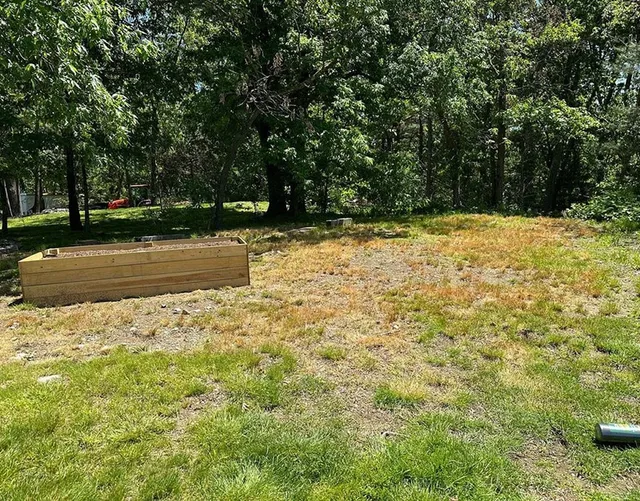 Backyard Repair Before