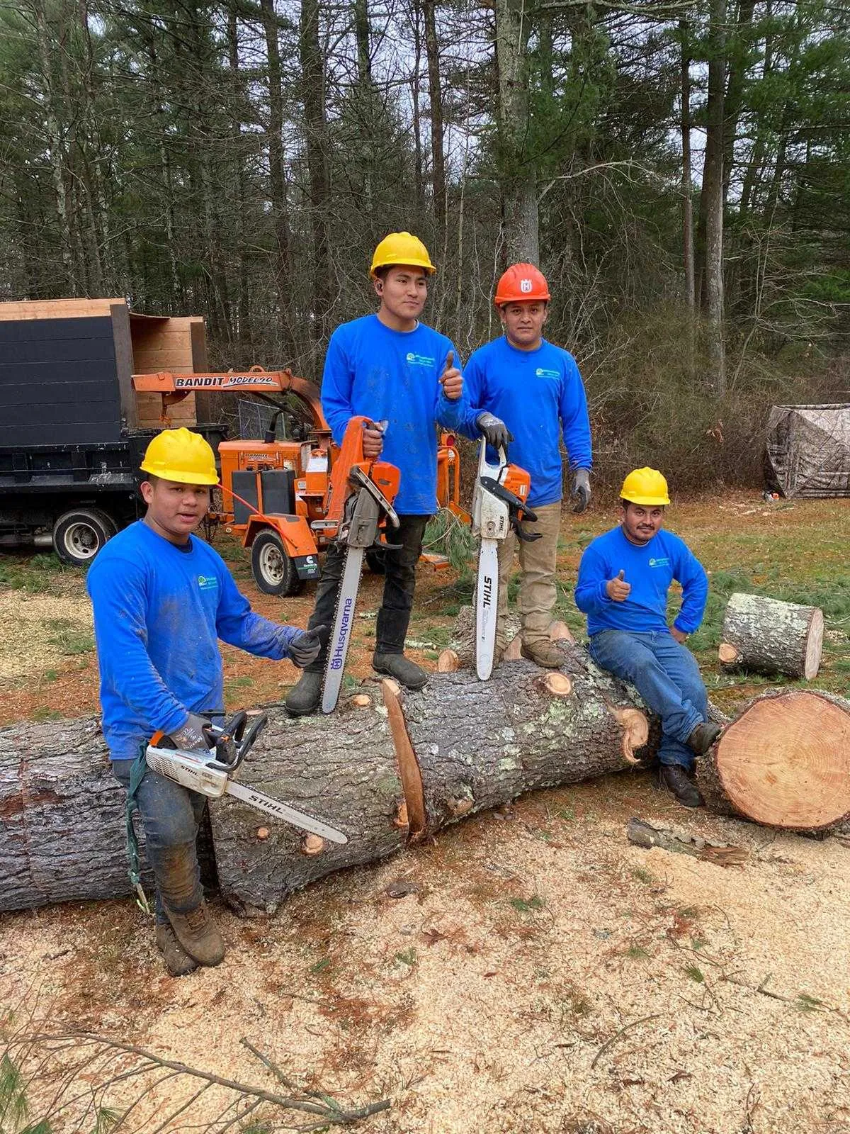 work photo from adantreeservices.com