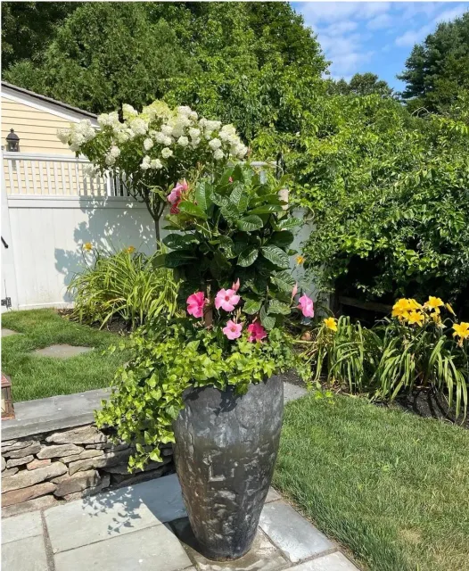 John Anthony's Landscaping, LLC. work photo
