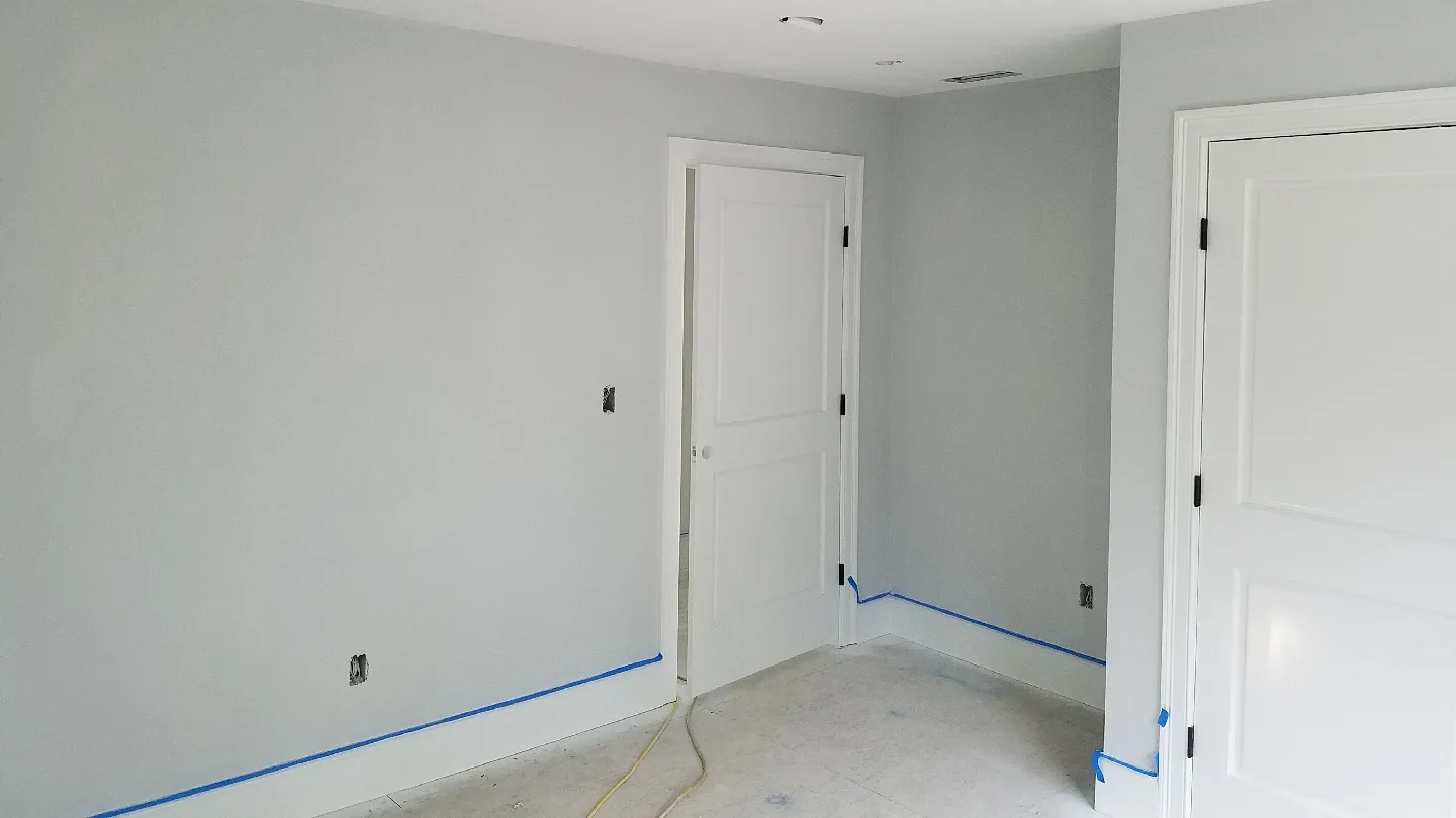 Professionals Painters