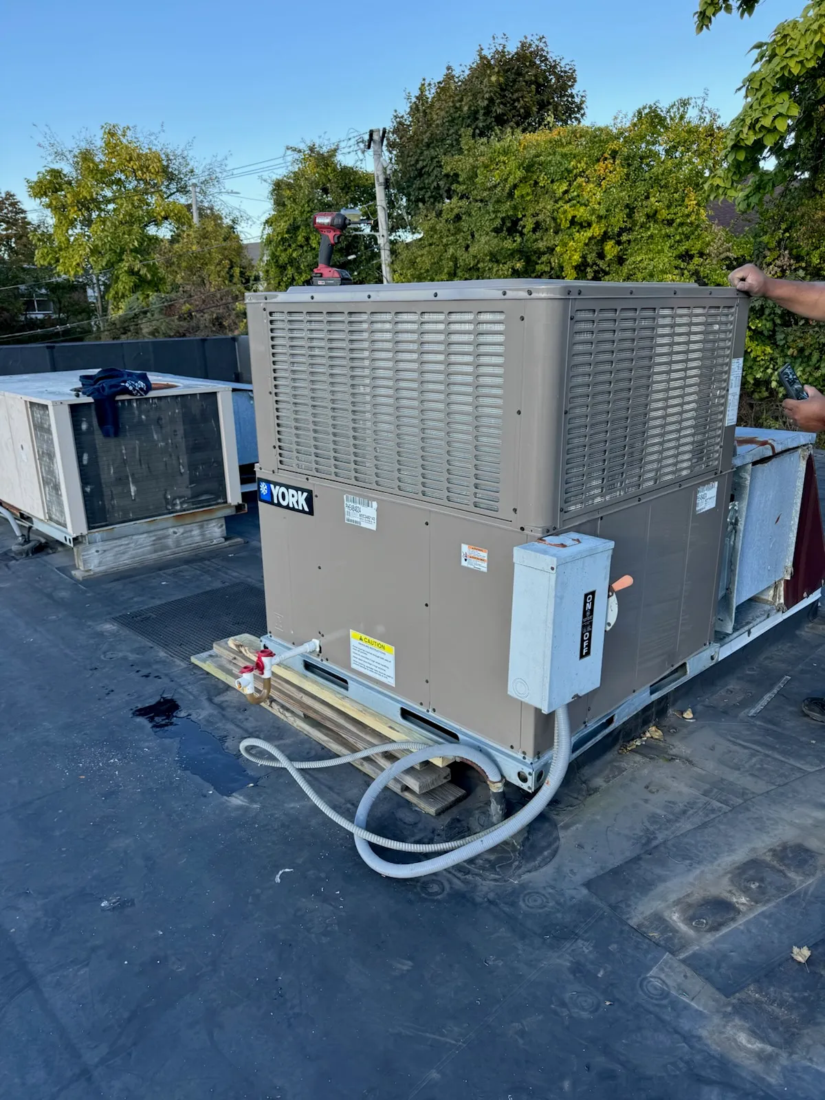 work photo from Google listing
