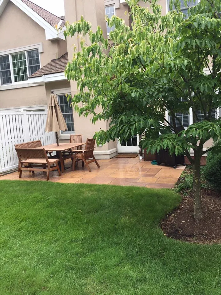 work photo from monizlandscape.com