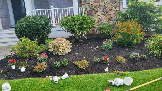 Pisano’s Pro Property Services work photo