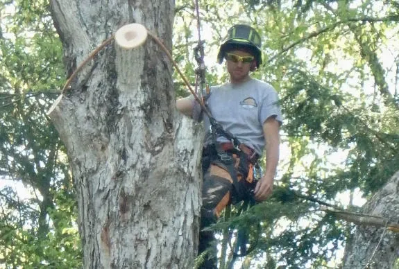 work photo from btbtreeservice.com