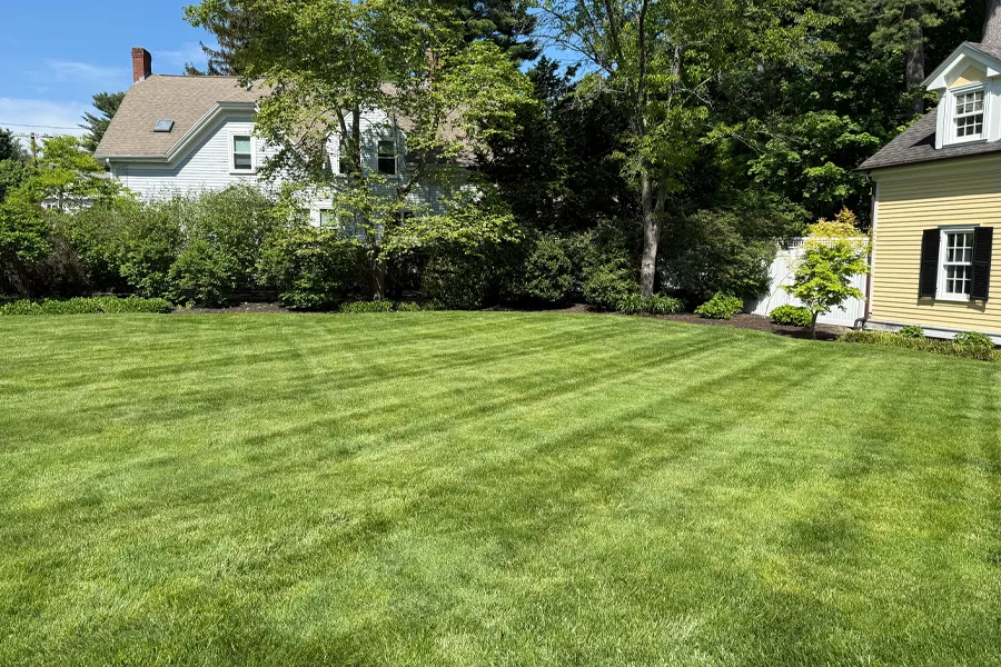 lawn care