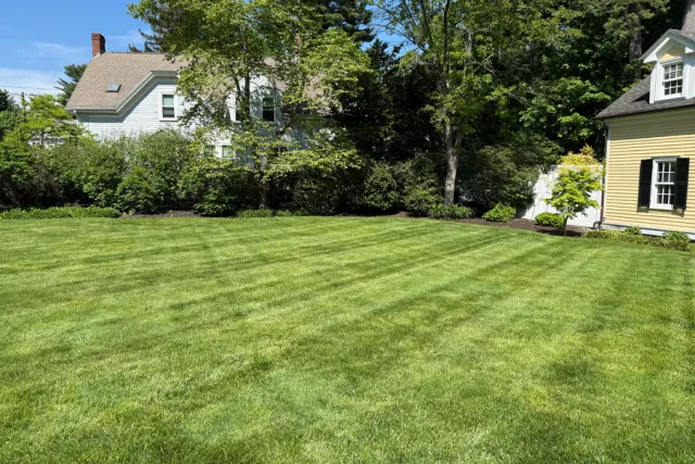 lawn care