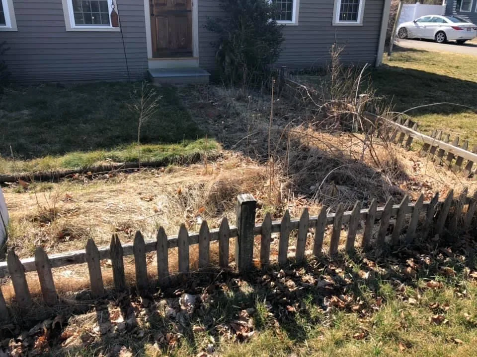 Affordable Lawn Care