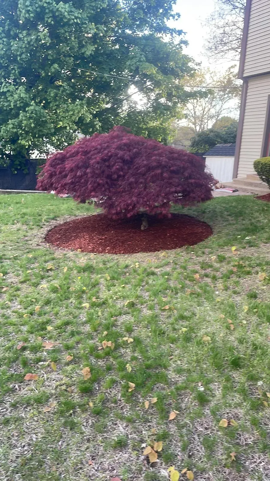 work photo from pjlandscapingpro.com
