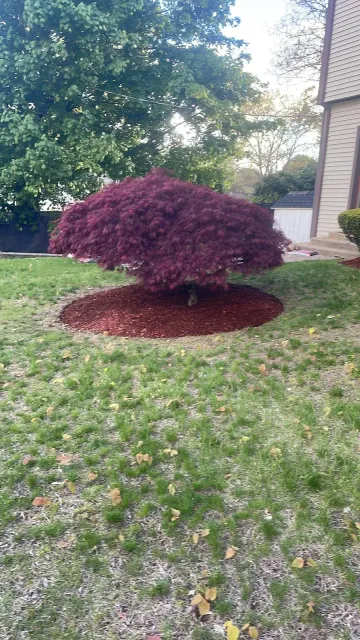 work photo from pjlandscapingpro.com