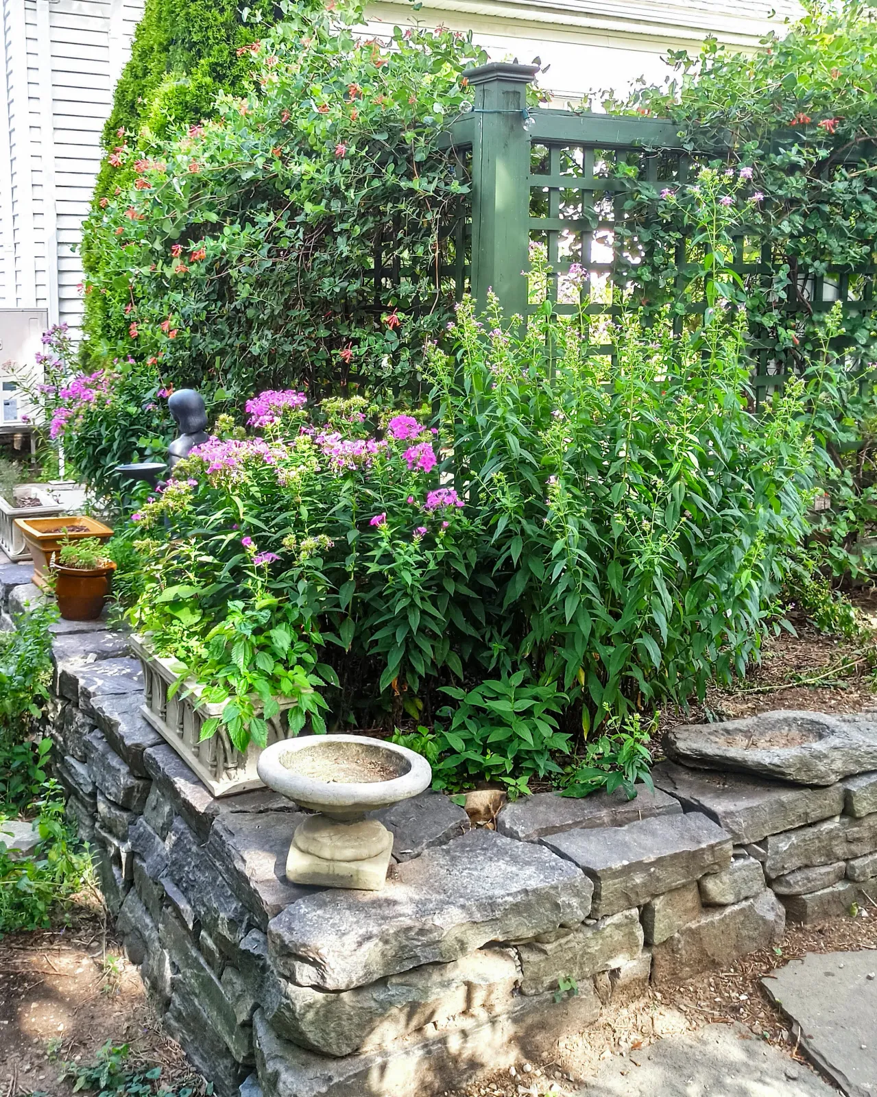 Lush garden with stone wall, flowering plants, and green trellis