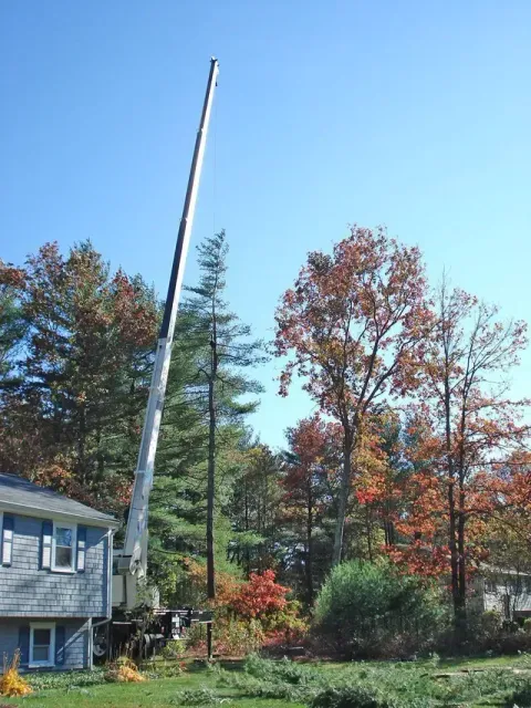 Crane beside a house, reaching toward the sky, trees in autumn colors, clear blue sky.